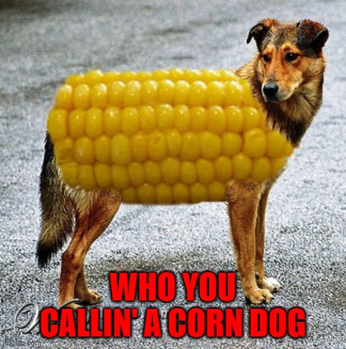 This meme is corny at best... | WHO YOU CALLIN' A CORN DOG | image tagged in dogs,corn dog,funny | made w/ Imgflip meme maker