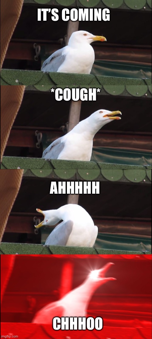 Inhaling Seagull | IT’S COMING; *COUGH*; AHHHHH; CHHHOO | image tagged in memes,inhaling seagull | made w/ Imgflip meme maker