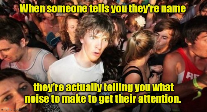 Hey,stupid! | When someone tells you they're name; they're actually telling you what noise to make to get their attention. | image tagged in memes,sudden clarity clarence,funny | made w/ Imgflip meme maker