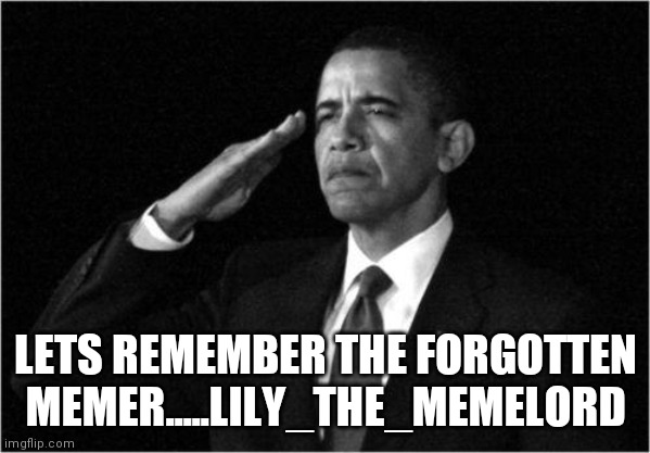Oh say can you see~ | LETS REMEMBER THE FORGOTTEN MEMER.....LILY_THE_MEMELORD | image tagged in obama-salute | made w/ Imgflip meme maker