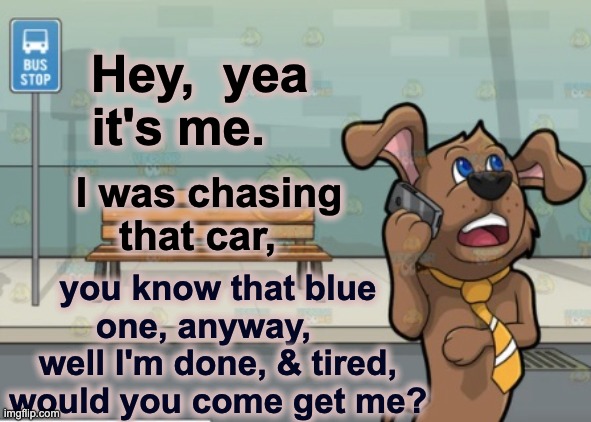 Dogs with Cell Phones | Hey,  yea it's me. I was chasing that car, you know that blue one, anyway,    well I'm done, & tired, would you come get me? | image tagged in dogs,cell phone,cars,chase,mom pick me up i'm scared | made w/ Imgflip meme maker