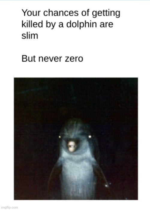 Slim but never Zero | image tagged in dolphin,your chances,never zero | made w/ Imgflip meme maker