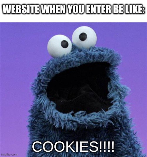 relatable | WEBSITE WHEN YOU ENTER BE LIKE:; COOKIES!!!! | image tagged in memes,funny,cookie monster,websites,internet,cookies | made w/ Imgflip meme maker