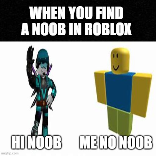 Noov vs pro | WHEN YOU FIND A NOOB IN ROBLOX; HI NOOB; ME NO NOOB | image tagged in roblox noob,roblox pro | made w/ Imgflip meme maker