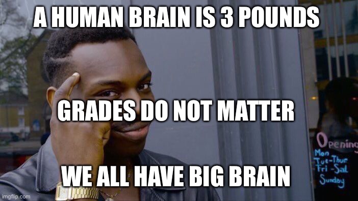 Roll Safe Think About It Meme | A HUMAN BRAIN IS 3 POUNDS; GRADES DO NOT MATTER; WE ALL HAVE BIG BRAIN | image tagged in memes,roll safe think about it | made w/ Imgflip meme maker