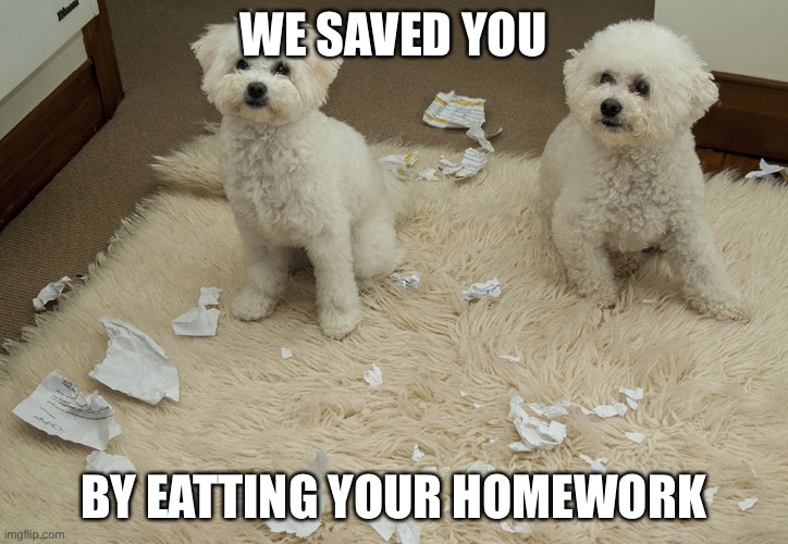Dog Ate Homework | WE SAVED YOU; BY EATTING YOUR HOMEWORK | image tagged in dog ate homework | made w/ Imgflip meme maker