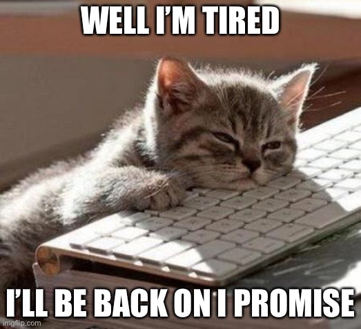 tired cat | WELL I’M TIRED; I’LL BE BACK ON I PROMISE | image tagged in tired cat | made w/ Imgflip meme maker