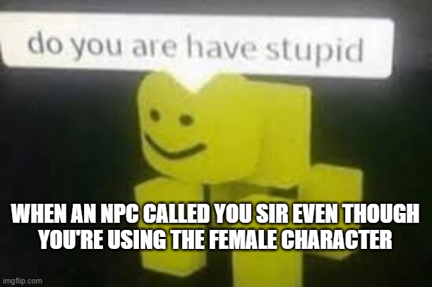 Do you are have stupid | WHEN AN NPC CALLED YOU SIR EVEN THOUGH
YOU'RE USING THE FEMALE CHARACTER | image tagged in do you are have stupid | made w/ Imgflip meme maker