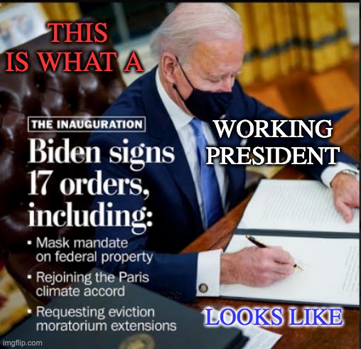 That's what it looks like! (I'm just a huge fan of the sport) | THIS IS WHAT A; WORKING PRESIDENT; LOOKS LIKE | image tagged in president biden,loki,joe biden,work,first 100 days | made w/ Imgflip meme maker
