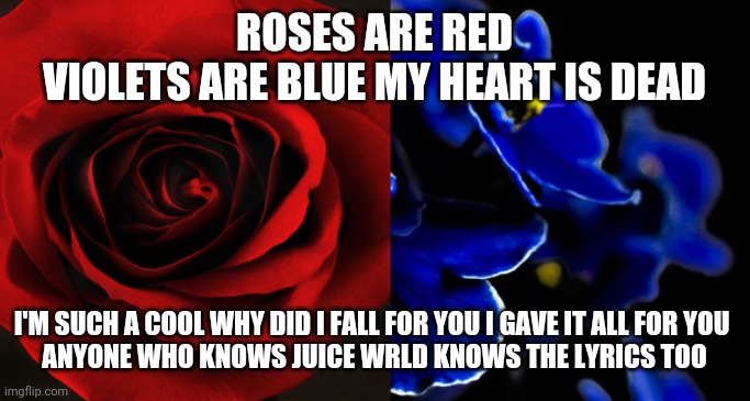 Juice wrld lyrics | ROSES ARE RED
VIOLETS ARE BLUE MY HEART IS DEAD; I'M SUCH A COOL WHY DID I FALL FOR YOU I GAVE IT ALL FOR YOU 
ANYONE WHO KNOWS JUICE WRLD KNOWS THE LYRICS TOO | image tagged in roses are red violets are blue | made w/ Imgflip meme maker