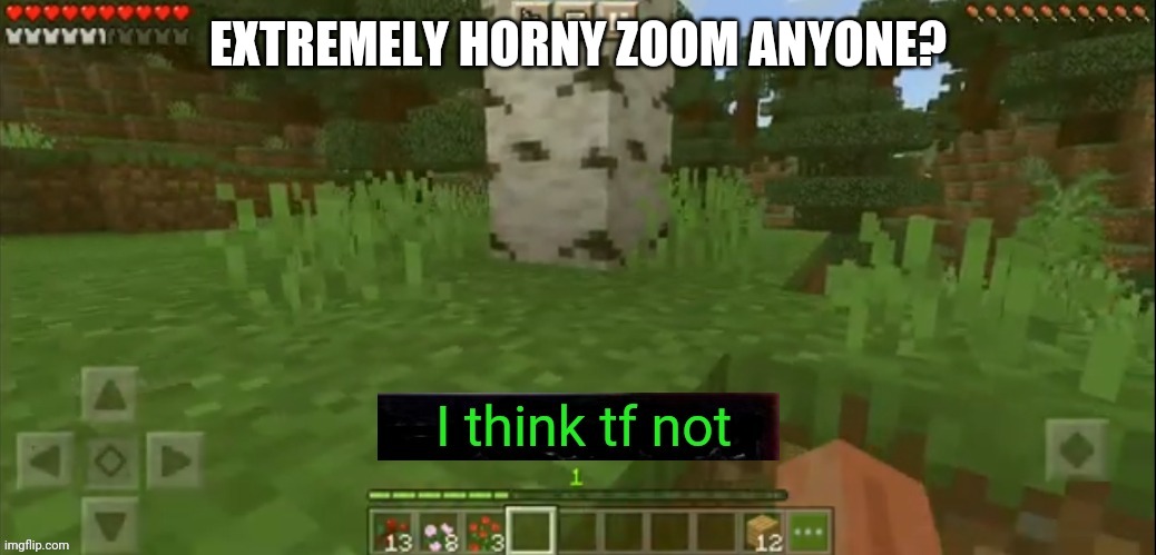 I think tf not | EXTREMELY HORNY ZOOM ANYONE? | image tagged in i think tf not | made w/ Imgflip meme maker
