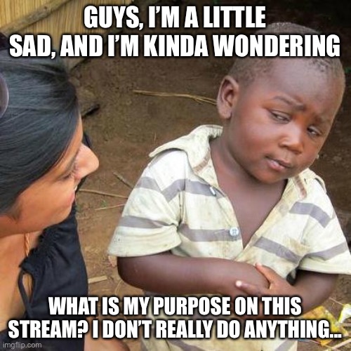 Third World Skeptical Kid | GUYS, I’M A LITTLE SAD, AND I’M KINDA WONDERING; WHAT IS MY PURPOSE ON THIS STREAM? I DON’T REALLY DO ANYTHING... | image tagged in memes,third world skeptical kid | made w/ Imgflip meme maker