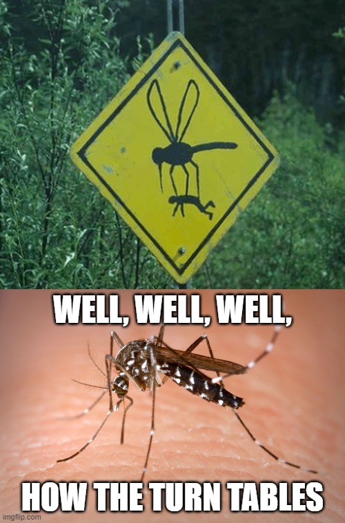 Best Road Sign | WELL, WELL, WELL, HOW THE TURN TABLES | image tagged in mosquito,well well well how the turn tables,funny road signs | made w/ Imgflip meme maker