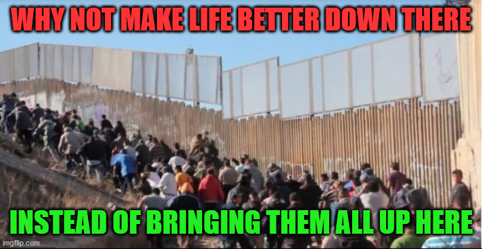 Illegal Immigrants |  WHY NOT MAKE LIFE BETTER DOWN THERE; INSTEAD OF BRINGING THEM ALL UP HERE | image tagged in illegal immigrants | made w/ Imgflip meme maker