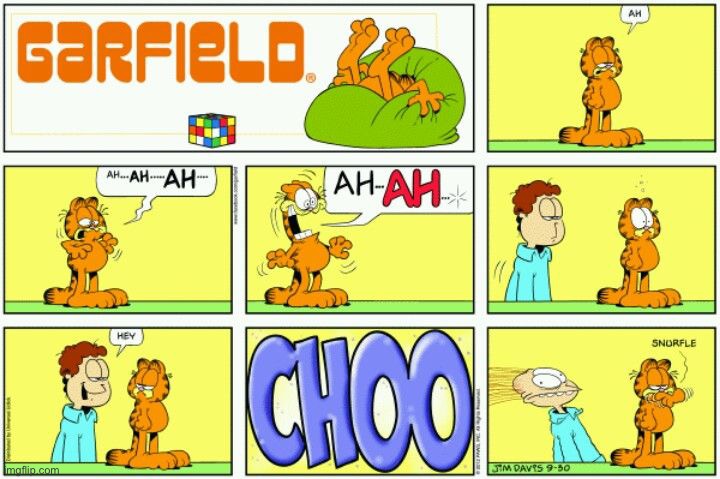 CHOO | image tagged in why are you reading this,what,okay,stop,stop reading the tags,i give up | made w/ Imgflip meme maker
