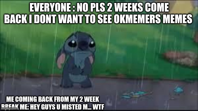 hey im back and u probaly hate me | EVERYONE : NO PLS 2 WEEKS COME BACK I DONT WANT TO SEE OKMEMERS MEMES; ME COMING BACK FROM MY 2 WEEK BREAK ME: HEY GUYS U MISTED M... WTF | image tagged in come back | made w/ Imgflip meme maker