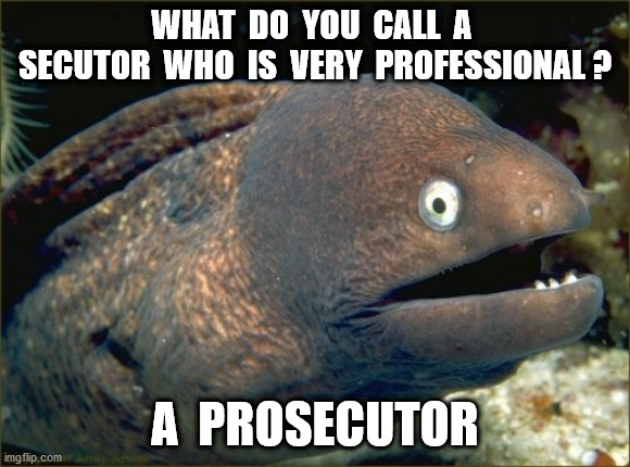 Bad Joke Eel Meme | WHAT  DO  YOU  CALL  A  SECUTOR  WHO  IS  VERY  PROFESSIONAL ? A  PROSECUTOR | image tagged in memes,bad joke eel | made w/ Imgflip meme maker