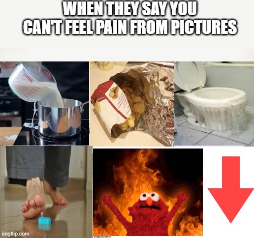 Real Pain | WHEN THEY SAY YOU CAN'T FEEL PAIN FROM PICTURES | image tagged in memes,elmo,pain | made w/ Imgflip meme maker