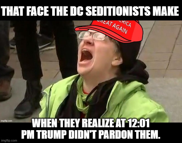 MAGA sky screamer | THAT FACE THE DC SEDITIONISTS MAKE; WHEN THEY REALIZE AT 12:01 PM TRUMP DIDN'T PARDON THEM. | image tagged in maga sky screamer | made w/ Imgflip meme maker