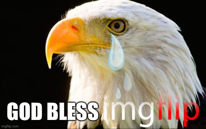 God bless America  | GOD BLESS | image tagged in god bless america | made w/ Imgflip meme maker