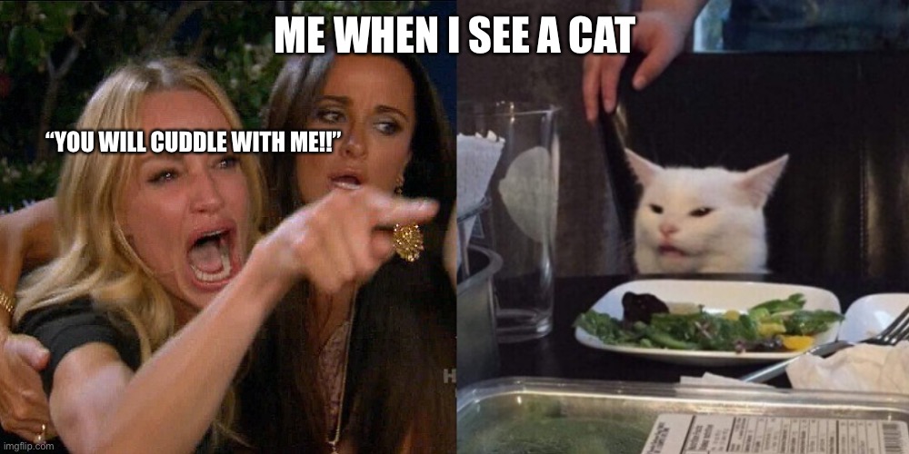 Woman yelling at cat | ME WHEN I SEE A CAT; “YOU WILL CUDDLE WITH ME!!” | image tagged in woman yelling at cat | made w/ Imgflip meme maker