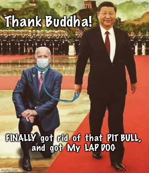 China Biden | Thank Buddha! FINALLY  got  rid  of  that  PIT BULL,
and  got  My  LAP DOG; MRA | image tagged in china biden | made w/ Imgflip meme maker