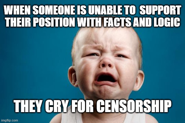 Infantile Censorship | WHEN SOMEONE IS UNABLE TO  SUPPORT THEIR POSITION WITH FACTS AND LOGIC; THEY CRY FOR CENSORSHIP | image tagged in baby crying | made w/ Imgflip meme maker