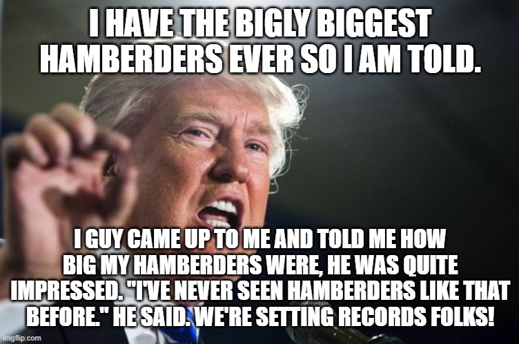 donald trump | I HAVE THE BIGLY BIGGEST HAMBERDERS EVER SO I AM TOLD. I GUY CAME UP TO ME AND TOLD ME HOW BIG MY HAMBERDERS WERE, HE WAS QUITE IMPRESSED. " | image tagged in donald trump | made w/ Imgflip meme maker