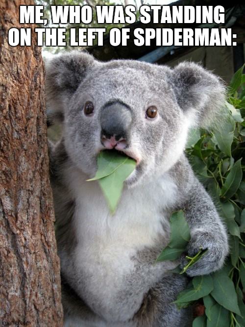 Surprised Koala Meme | ME, WHO WAS STANDING ON THE LEFT OF SPIDERMAN: | image tagged in memes,surprised koala | made w/ Imgflip meme maker
