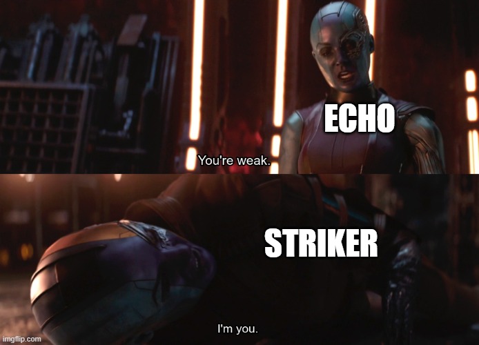 Your weak I’m you | ECHO; STRIKER | image tagged in your weak i m you | made w/ Imgflip meme maker