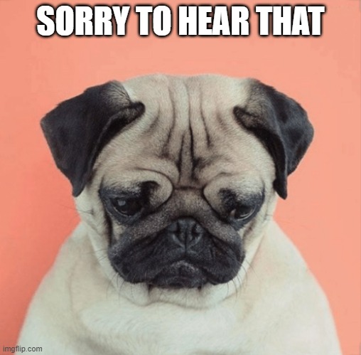 Sorry to hear | SORRY TO HEAR THAT | image tagged in sorry to hear | made w/ Imgflip meme maker