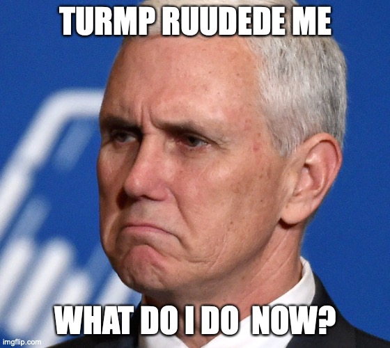 Mike Pence | TURMP RUUDEDE ME; WHAT DO I DO  NOW? | image tagged in mike pence | made w/ Imgflip meme maker
