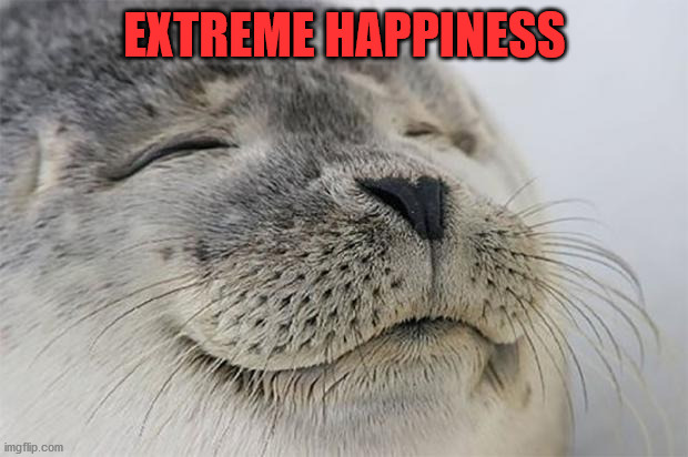 Satisfied Seal Meme | EXTREME HAPPINESS | image tagged in memes,satisfied seal | made w/ Imgflip meme maker