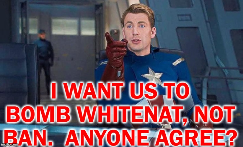 Captain America Understood Reference | I WANT US TO BOMB WHITENAT, NOT BAN.  ANYONE AGREE? | image tagged in captain america understood reference | made w/ Imgflip meme maker