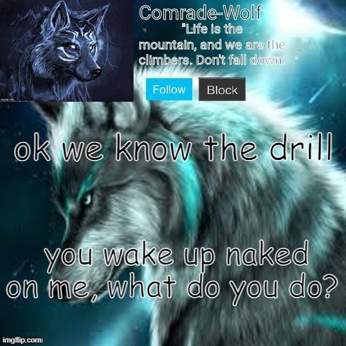 Comrade-Wolf's Announcement | ok we know the drill; you wake up naked on me, what do you do? | image tagged in comrade-wolf's announcement | made w/ Imgflip meme maker