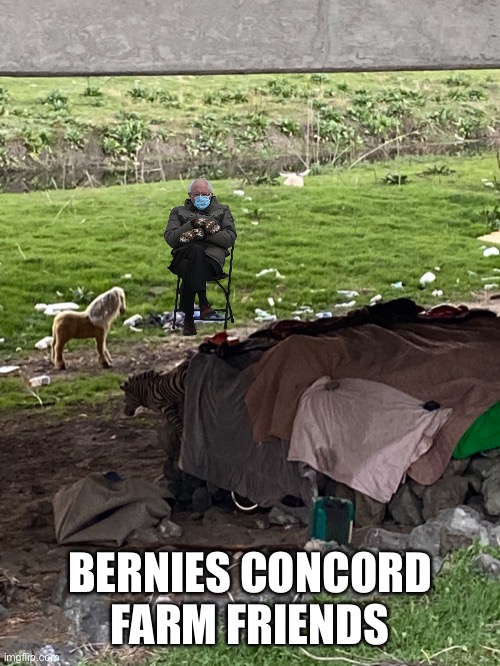 BERNIES CONCORD FARM FRIENDS | image tagged in bernie sanders | made w/ Imgflip meme maker