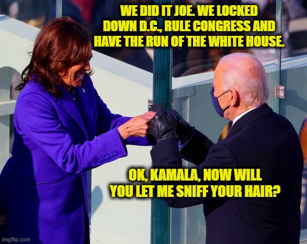 Moments after the inauguration Joe and Kamala looked into each others eyes and each said.... | WE DID IT JOE. WE LOCKED DOWN D.C., RULE CONGRESS AND HAVE THE RUN OF THE WHITE HOUSE. OK, KAMALA, NOW WILL YOU LET ME SNIFF YOUR HAIR? | image tagged in creepy joe and kamala,creepy joe biden,kamala harris,inauguration day,liberals vs conservatives,election 2020 aftermath | made w/ Imgflip meme maker