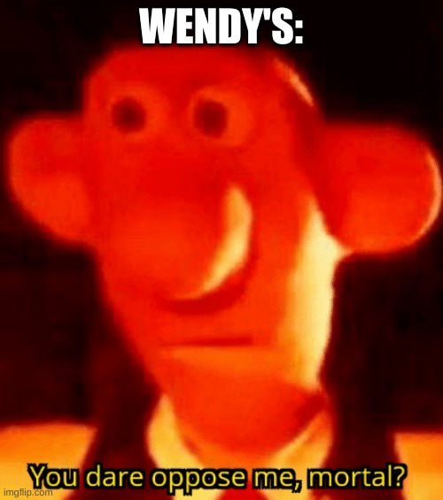 YOU DARE OPPOSE ME MORTAL | WENDY'S: | image tagged in you dare oppose me mortal | made w/ Imgflip meme maker