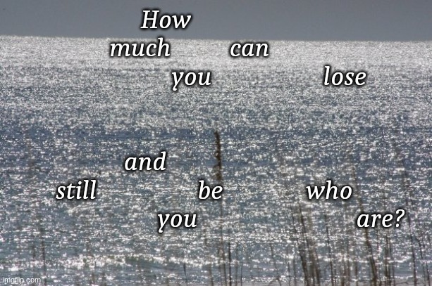 Loss | How                               much          can                                    you                   lose                                                                                    
       and                                still                 be              who                           you                           are? | image tagged in grief loss meme | made w/ Imgflip meme maker