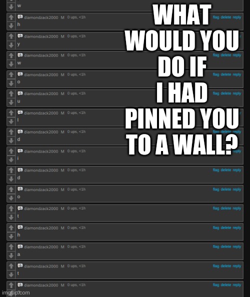 why would i do that? | WHAT WOULD YOU DO IF I HAD PINNED YOU TO A WALL? | image tagged in why would i do that | made w/ Imgflip meme maker