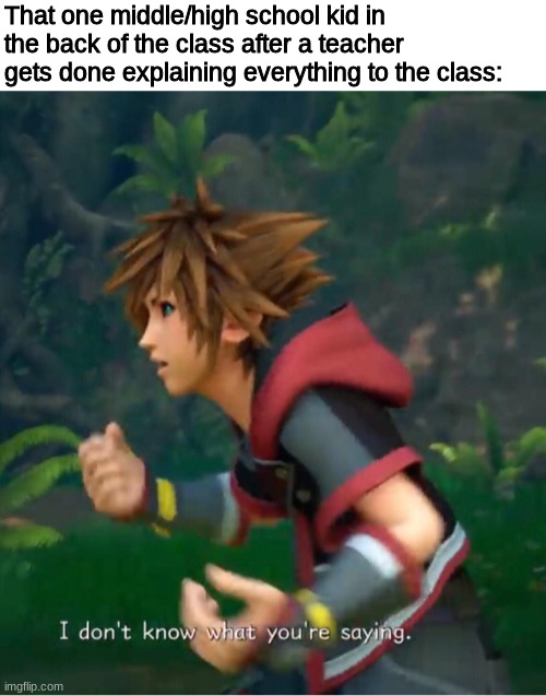i'm bout' to bombard this stream with Kingdom Hearts memes | That one middle/high school kid in the back of the class after a teacher gets done explaining everything to the class: | image tagged in kingdom hearts,school,high school,memes,fun | made w/ Imgflip meme maker