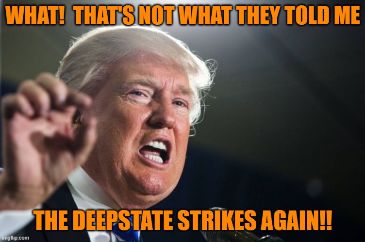 donald trump | WHAT!  THAT'S NOT WHAT THEY TOLD ME THE DEEPSTATE STRIKES AGAIN!! | image tagged in donald trump | made w/ Imgflip meme maker