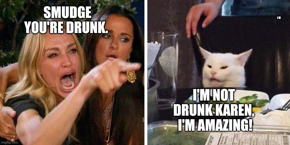 Smudge the cat | J M; SMUDGE YOU'RE DRUNK. I'M NOT DRUNK KAREN,  I'M AMAZING! | image tagged in smudge the cat | made w/ Imgflip meme maker