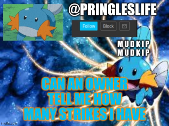 pls i need to know | CAN AN OWNER TELL ME HOW MANY STRIKES I HAVE | image tagged in pringles mudkip announcement | made w/ Imgflip meme maker