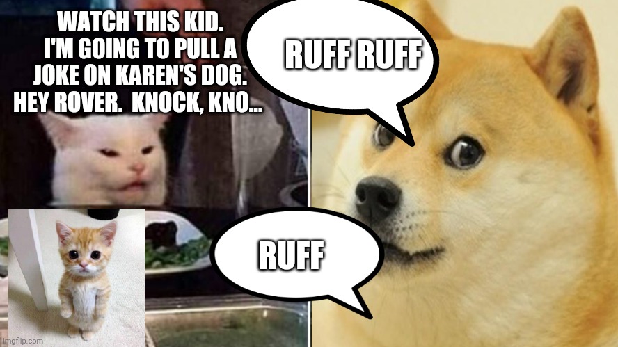 RUFF RUFF; WATCH THIS KID. I'M GOING TO PULL A JOKE ON KAREN'S DOG. HEY ROVER.  KNOCK, KNO... RUFF | image tagged in smudge the cat | made w/ Imgflip meme maker