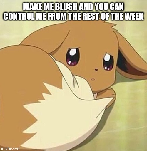 Scared Eevee | MAKE ME BLUSH AND YOU CAN CONTROL ME FROM THE REST OF THE WEEK | image tagged in scared eevee | made w/ Imgflip meme maker