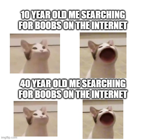 Old habits dont die | 10 YEAR OLD ME SEARCHING FOR BOOBS ON THE INTERNET; 40 YEAR OLD ME SEARCHING FOR BOOBS ON THE INTERNET | image tagged in funny,memes,cat | made w/ Imgflip meme maker