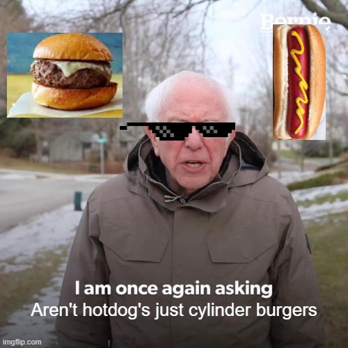 What's the difference | Aren't hotdog's just cylinder burgers | image tagged in memes,bernie i am once again asking for your support | made w/ Imgflip meme maker