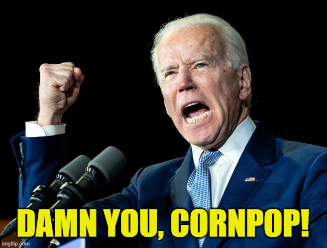 Joe Biden's fist | DAMN YOU, CORNPOP! | image tagged in joe biden's fist | made w/ Imgflip meme maker