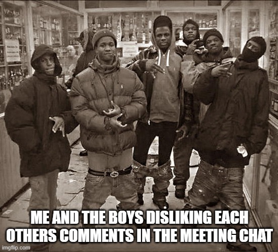All My Homies Hate | ME AND THE BOYS DISLIKING EACH OTHERS COMMENTS IN THE MEETING CHAT | image tagged in all my homies hate | made w/ Imgflip meme maker